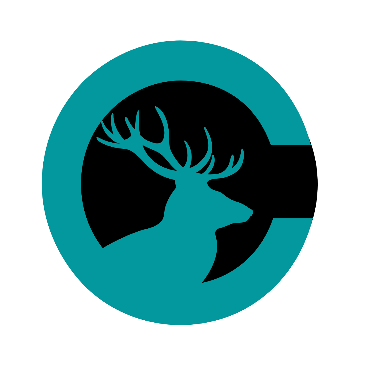 Cristian Montoya Logo